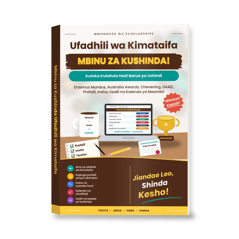 Mbinu za Kushinda Ufadhili wa Kimataifa