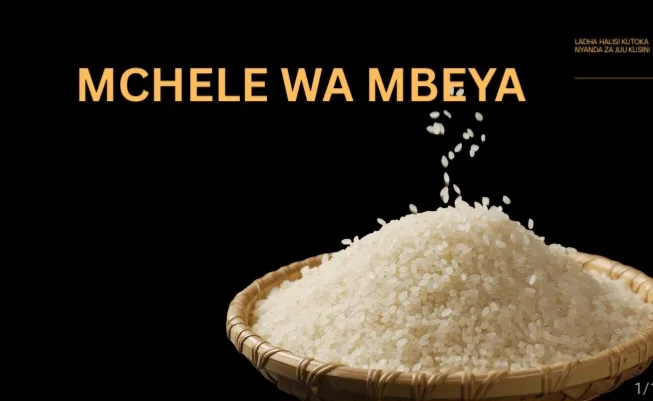 BIASHARA YA MCHELE WA MBEYA, FAIDA ZAKE NA CHANGAMOTO ZAKE PIA. BIASHARA HII NI BIASHARA AMBAYO INA TIJA SANA KAMA IKIFANYIKA KWA UTULIVU NA UMAKINI.